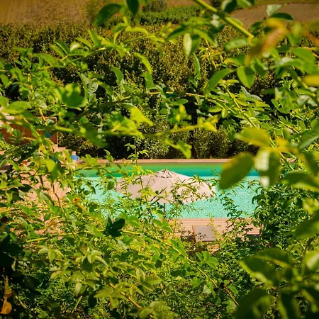 Pampucet Bed & Breakfast 4*